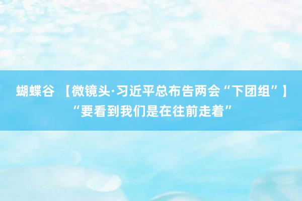 蝴蝶谷 【微镜头·习近平总布告两会“下团组”】“要看到我们是在往前走着”