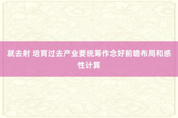 就去射 培育过去产业要统筹作念好前瞻布局和感性计算