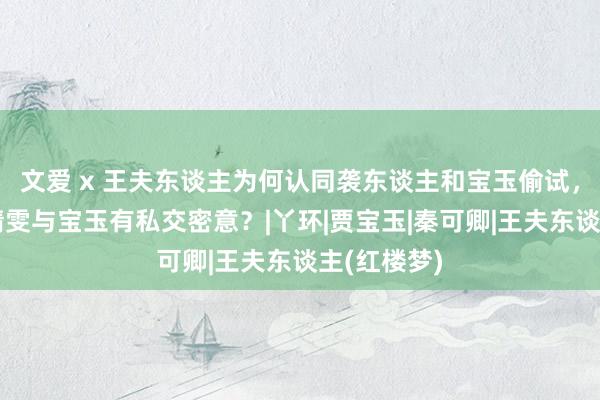 文爱 x 王夫东谈主为何认同袭东谈主和宝玉偷试，却不肯意晴雯与宝玉有私交密意？|丫环|贾宝玉|秦可卿|王夫东谈主(红楼梦)