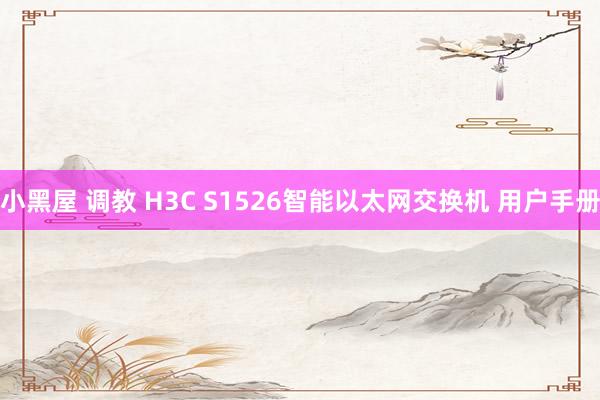 小黑屋 调教 H3C S1526智能以太网交换机 用户手册