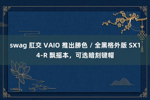 swag 肛交 VAIO 推出勝色 / 全黑格外版 SX14-R 飘摇本，可选暗刻键帽